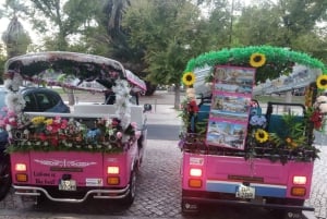 Lisbonne : visite privée d'une demi-journée en tuk-tuk