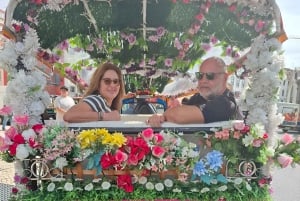 Lisbonne : visite privée d'une demi-journée en tuk-tuk