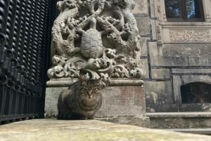 Lisbon: Half Day Trip to Sintra and Quinta da Regaleira