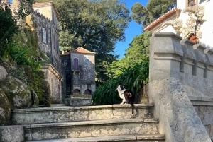 Lisbon: Half Day Trip to Sintra and Quinta da Regaleira