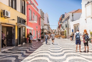 Lisbon: Highlights and Hidden Gems Private Tour with a Local