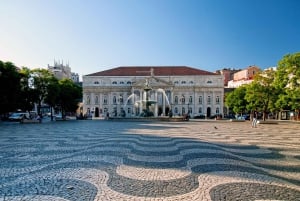 Privétour langs de hoogtepunten van Lissabon met lokale gids en ophaalservice