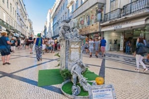 Privétour langs de hoogtepunten van Lissabon met lokale gids en ophaalservice