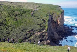 Lisbon: Hiking in Arrábida Natural Park