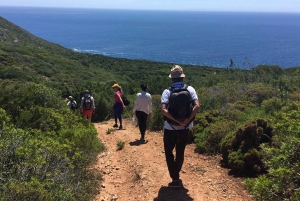 Lisbon: Hiking in Arrábida Natural Park