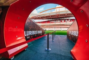 Lisbon: Luz Stadium Tour & SL Benfica Museum Ticket w/Scarf