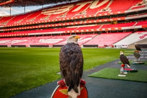 Lisbon: Luz Stadium Tour & SL Benfica Museum Ticket w/Scarf