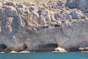 Arrábida - Sesimbra: Boat Tour Mysteries of Cape Espichel