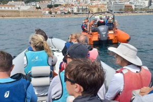 Arrábida - Sesimbra: Boat Tour Mysteries of Cape Espichel