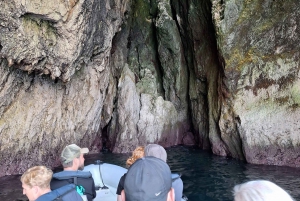 Arrábida - Sesimbra: Boat Tour Mysteries of Cape Espichel