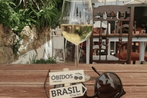 Tour privato di un giorno alla medievale Óbidos e al villaggio di Nazaré