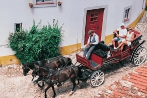Tour privato di un giorno alla medievale Óbidos e al villaggio di Nazaré