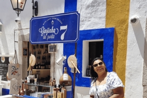 Tour privato di un giorno alla medievale Óbidos e al villaggio di Nazaré