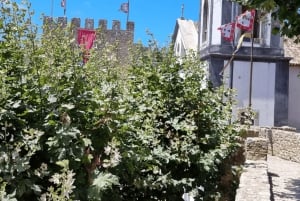 Tour privato di un giorno alla medievale Óbidos e al villaggio di Nazaré