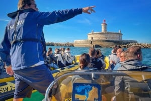 リスボン：海洋生物学者と 함께하는海洋サファリ