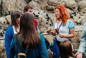 Lizbona: Oceanário de Lisboa – wycieczka z przewodnikiem i za kulisami