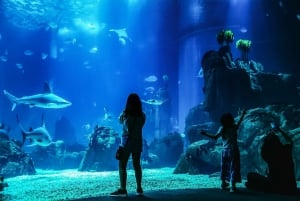 Lissabon: Eintrittskarte für das Ozeanarium von Lissabon