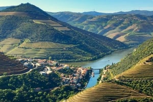 Lisbon: One Way to Douro Valley through Coimbra and Obidos