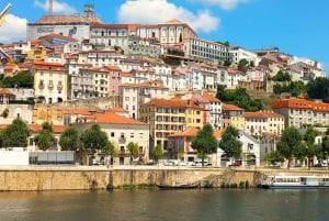 Lisbon: One Way to Douro Valley through Coimbra and Obidos