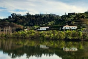 Lisbon: One Way to Douro Valley through Coimbra and Obidos