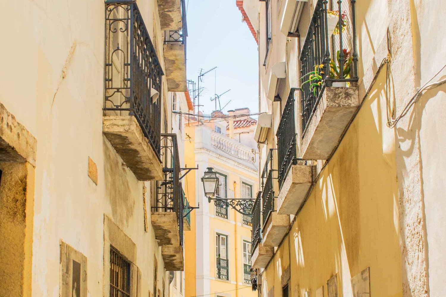 Lisbon: City Highlights Tour with Food Tastings