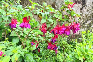 Lisbona: Palazzo Pena, Castello moresco, Qta. Regaleira e Sintra
