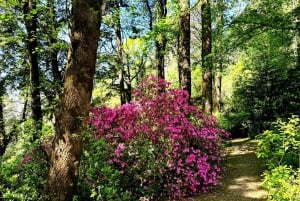 Lisbona: Palazzo Pena, Castello moresco, Qta. Regaleira e Sintra