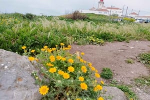 Lisbona: Palazzo Pena, Castello moresco, Qta. Regaleira e Sintra