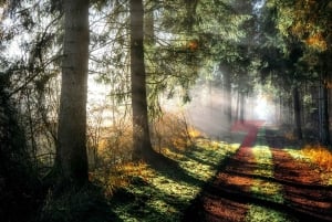 Lisboa: Palacio de Pena, Qinta da Regaleira, Castillo de los Moros y Cascais