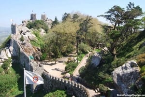 Magische Tagestour: Pena Palace, Sintra, CaboDa Roca & Cascais