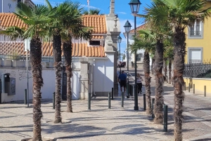 Lisbona: Tour privato del Palazzo Pena di Sintra e Cascais