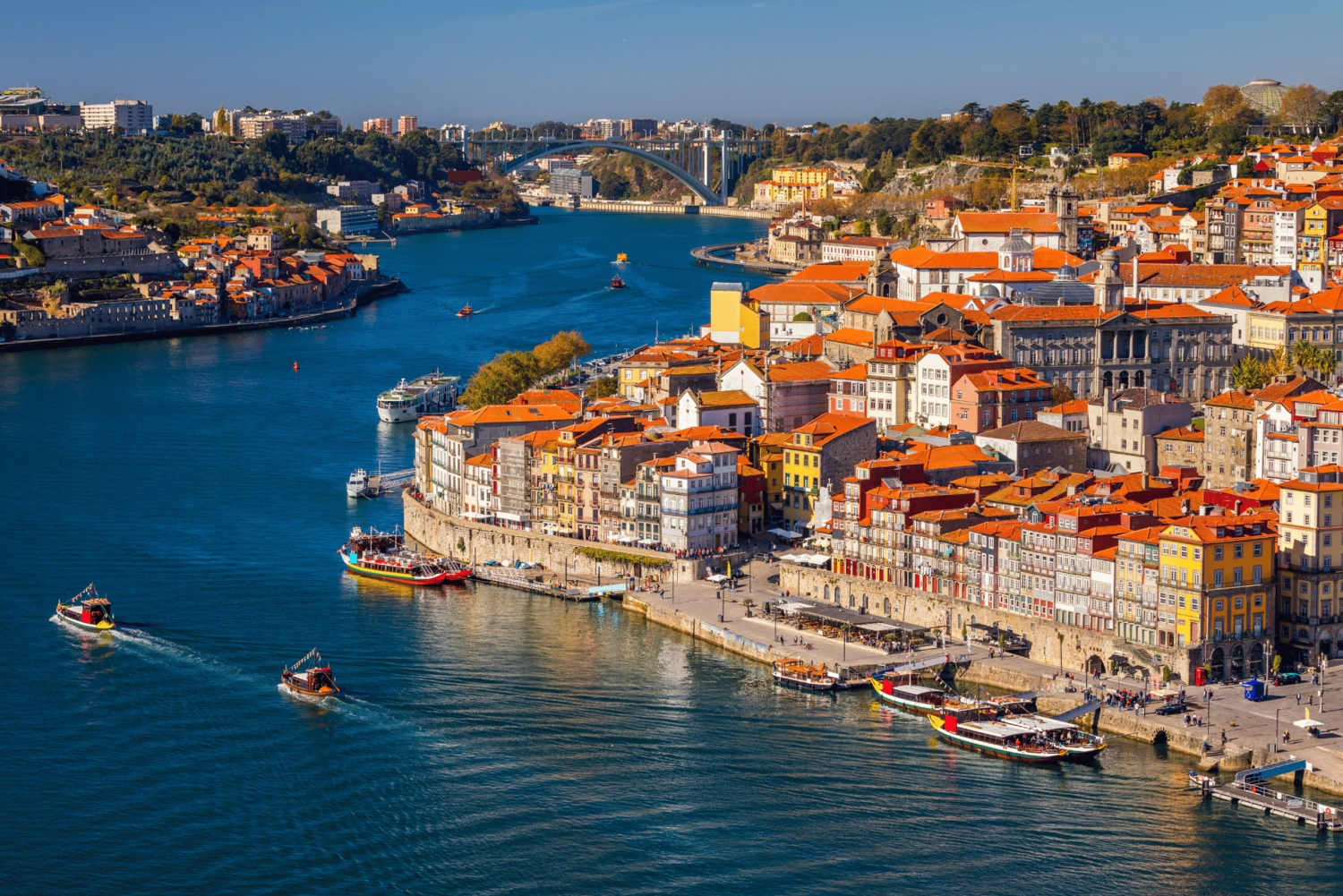 Lisboa: excursión privada de un día a Oporto con cata de vinos