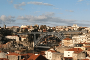 Lisboa: Privat dagstur til Porto med vinprovning