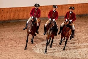 Lisbon: Portuguese Riding School Trainig with Lusitano Horse