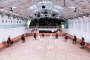 Lisbon: Portuguese Riding School Trainig with Lusitano Horse