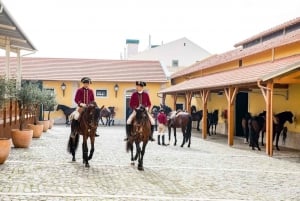 Lisbon: Portuguese Riding School Trainig with Lusitano Horse