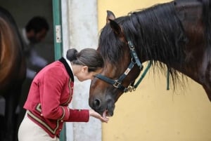 Lisbon: Portuguese Riding School Trainig with Lusitano Horse