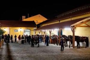 Lisbon: Portuguese Riding School Trainig with Lusitano Horse