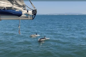 Lissabon: Privé boottocht - Zeil in stijl