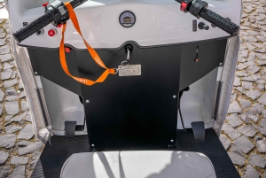 Lizbona: Prywatna wycieczka po mieście Alfama i Chiado z Tuk Tukiem