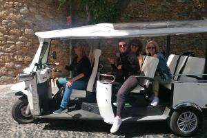 Lizbona: Prywatna wycieczka po mieście Alfama i Chiado z Tuk Tukiem