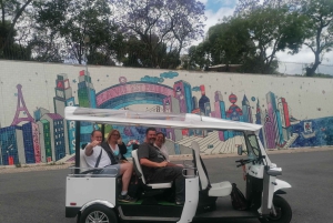 Lizbona: Prywatna wycieczka po mieście Alfama i Chiado z Tuk Tukiem