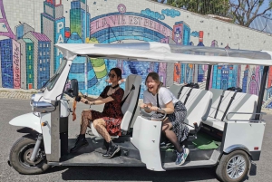 Lizbona: Prywatna wycieczka po mieście Alfama i Chiado z Tuk Tukiem