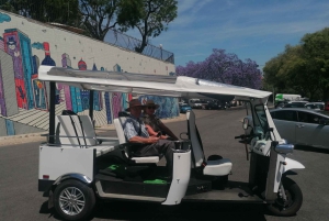 Lizbona: Prywatna wycieczka po mieście Alfama i Chiado z Tuk Tukiem