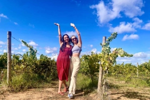 Lisbon: Private Full Day Evora & Alentejo Wine Tour