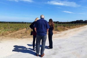 Lisbon: Private Full Day Evora & Alentejo Wine Tour