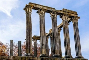 Lisbon: Private Full Day Evora & Alentejo Wine Tour