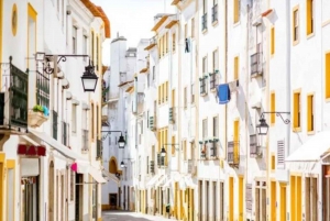 Lisbon: Private Full Day Evora & Alentejo Wine Tour