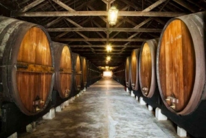 Lisbon: Private Full Day Evora & Alentejo Wine Tour