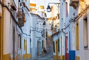 Lisbon: Private Full Day Evora & Alentejo Wine Tour
